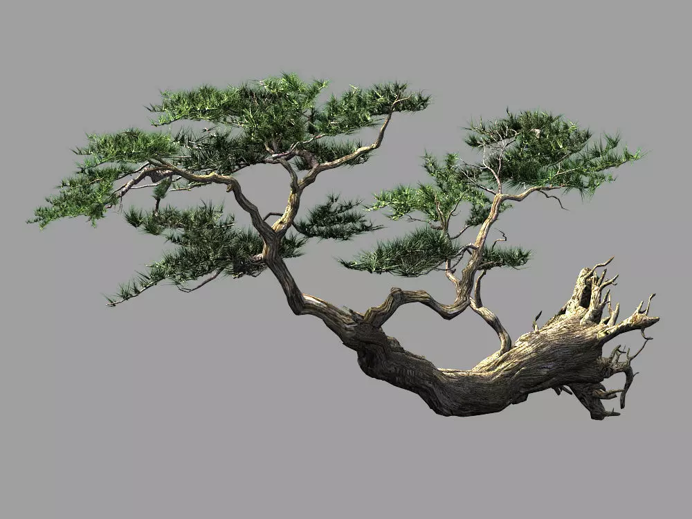 Landscape-Season-Pine Tree 09 3D model_0