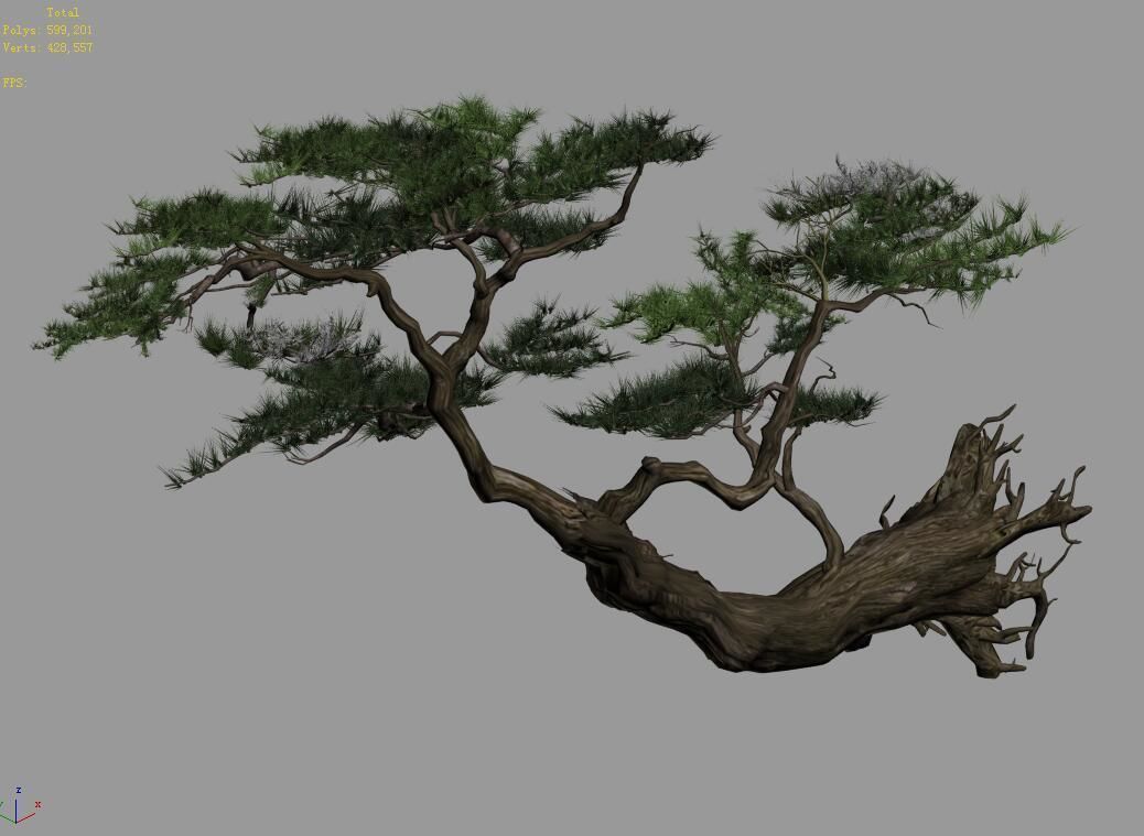 Landscape-Season-Pine Tree 09 3D model_5