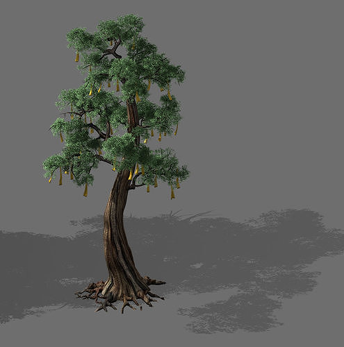 Temple of Confucius-Cypress-Wishing Tree 10 3D model