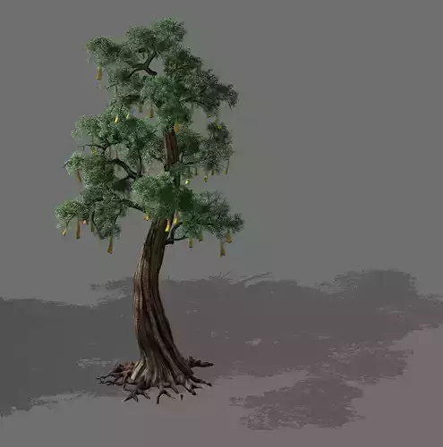 Temple of Confucius-Cypress-Wishing Tree 10