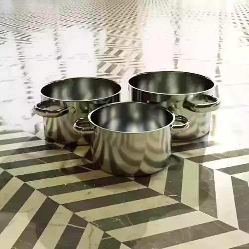 Stainless Steel Pots 