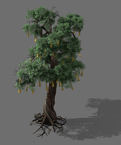 Temple of Confucius-Cypress-Wishing Tree 14 3D model