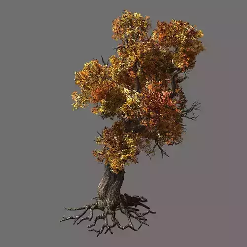 Temple of Confucius-Maple 31 3D model