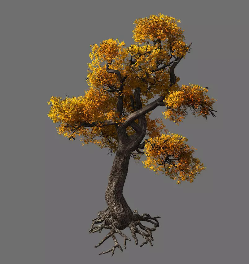 Temple of Confucius-Maple 32 3D model_0