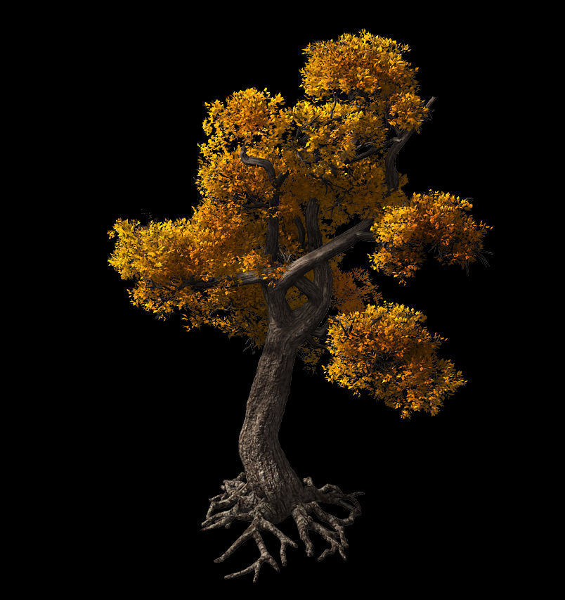 Temple of Confucius-Maple 32 3D model_1