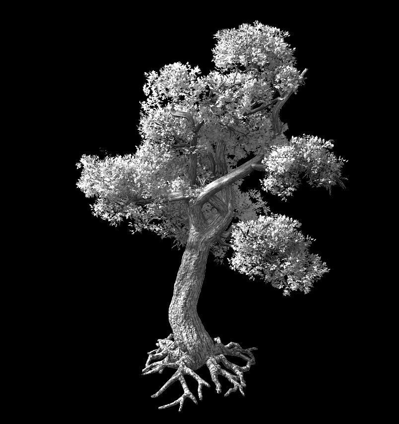 Temple of Confucius-Maple 32 3D model_2