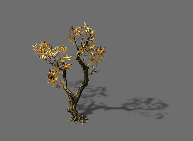 Temple of Confucius-Maple 37 3D model