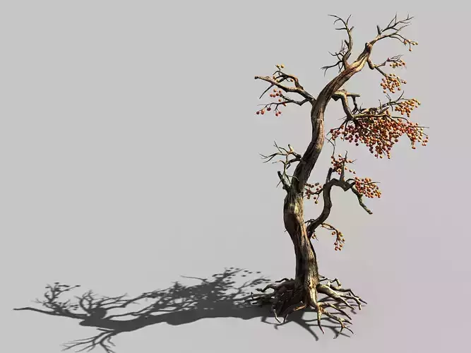 Temple of Confucius-Dead Tree 11 3D model