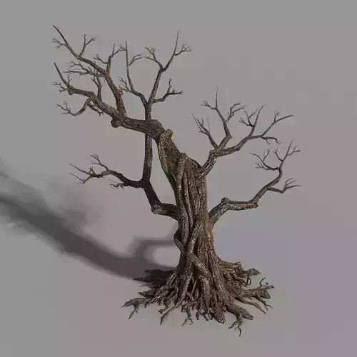 Temple of Confucius-Dead Tree 12 3D model