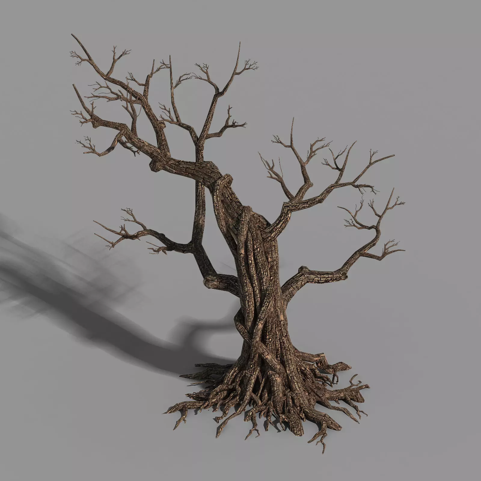 Temple of Confucius-Dead Tree 12 3D model_0
