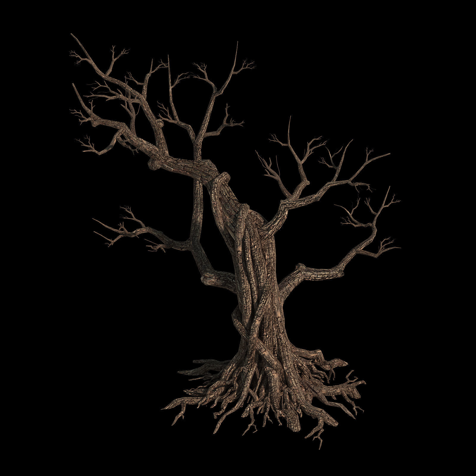 Temple of Confucius-Dead Tree 12 3D model_1