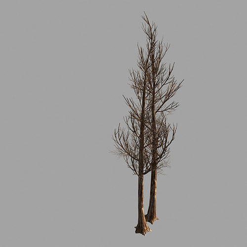 Temple of Confucius-Dead Tree 14 3D model