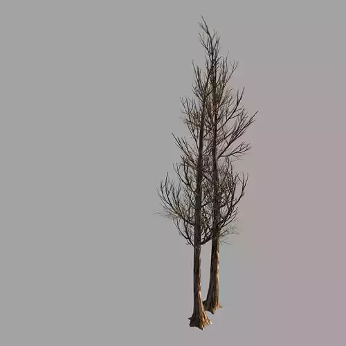 Temple of Confucius-Dead Tree 14