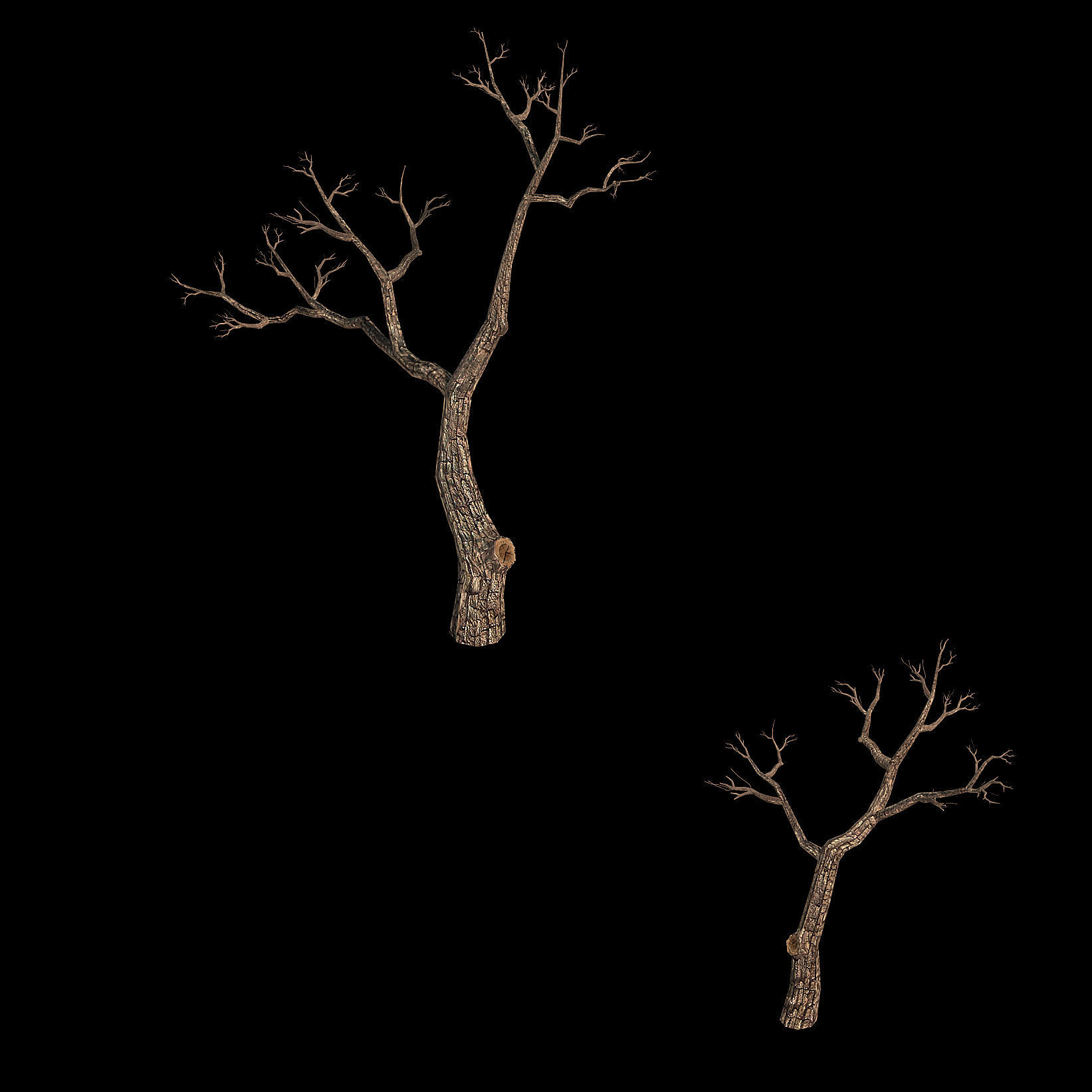 Temple of Confucius-Dead Tree 15 3D model_1