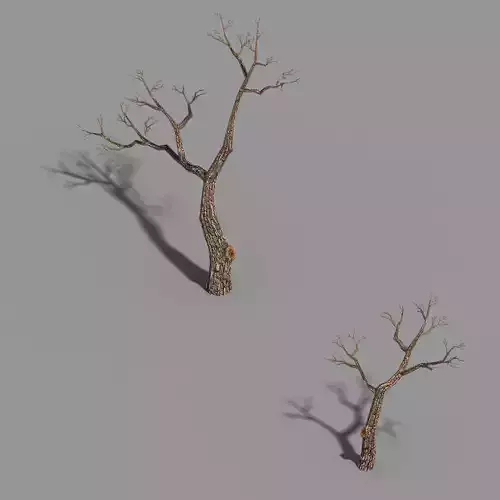 Temple of Confucius-Dead Tree 15 3D model