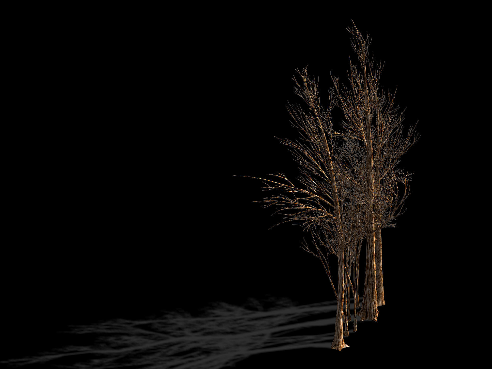 Temple of Confucius-Dead Tree 16 3D model_1