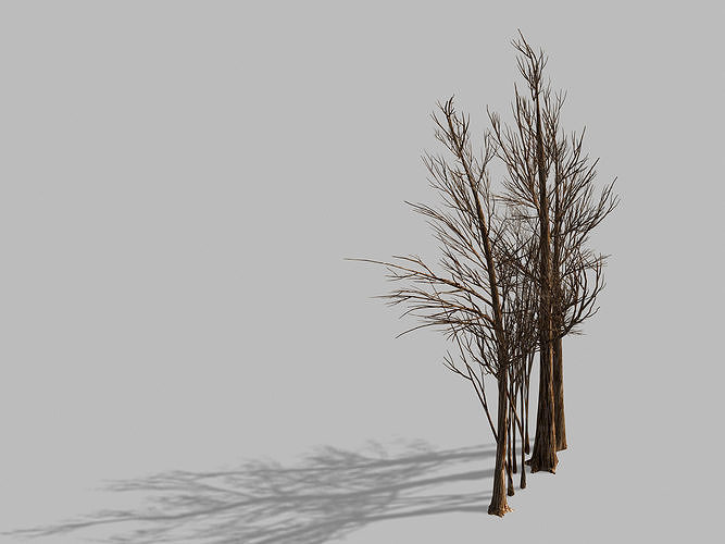 Temple of Confucius-Dead Tree 16 3D model