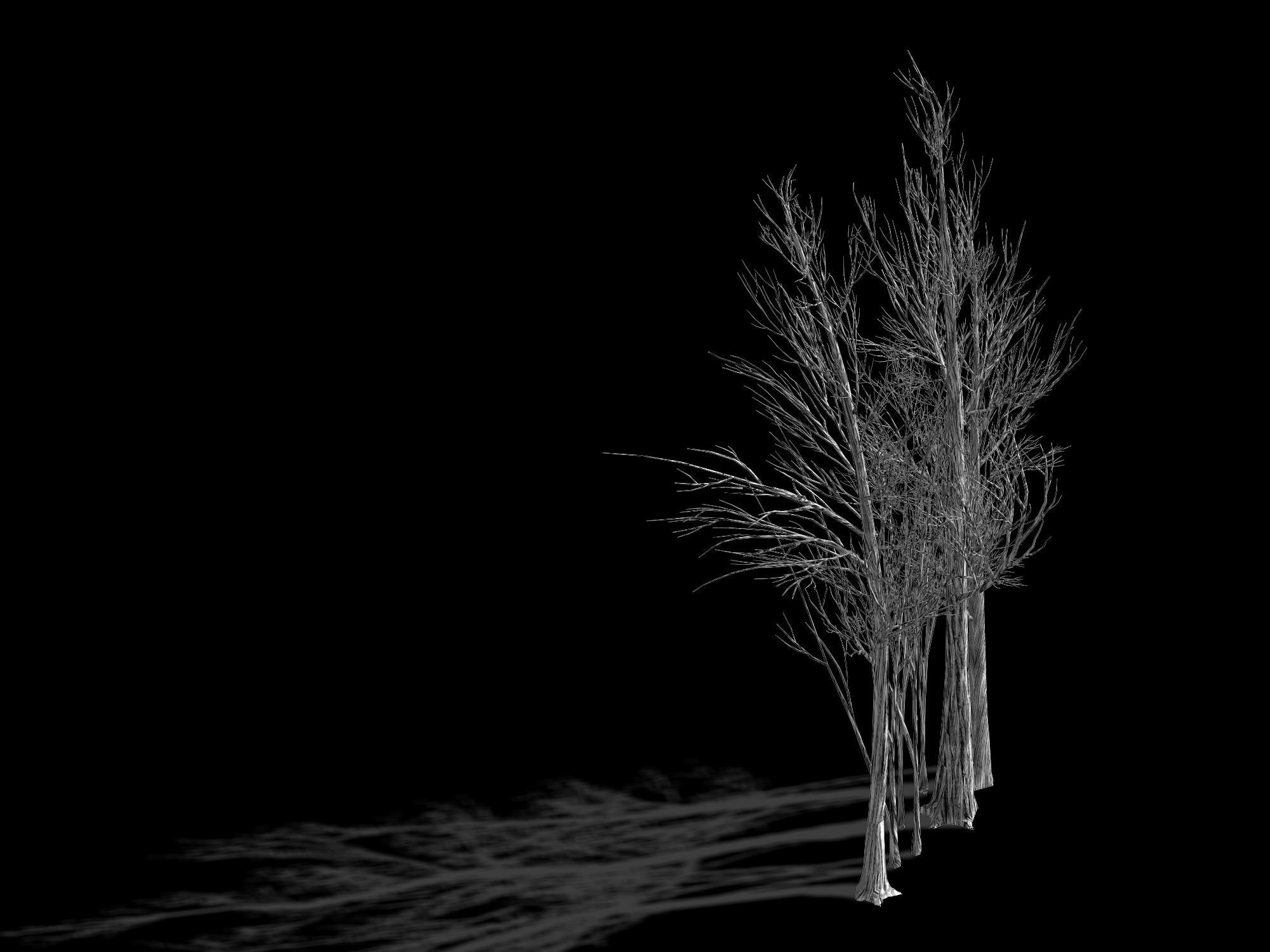 Temple of Confucius-Dead Tree 16 3D model_2
