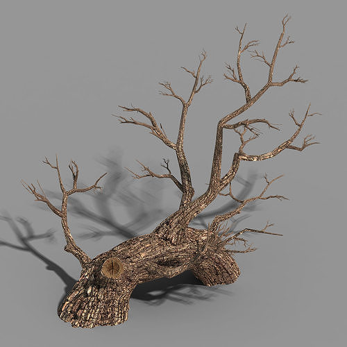 Temple of Confucius-Dead Tree 17 3D model