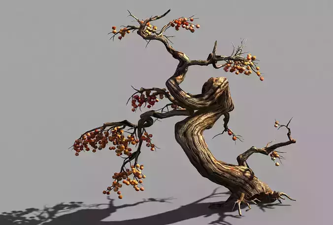 Temple of Confucius-Dead Tree 19