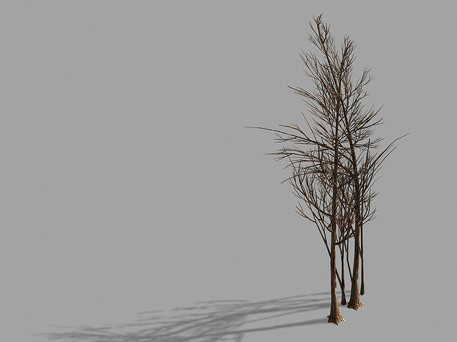 Temple of Confucius-Dead Tree 20 3D model