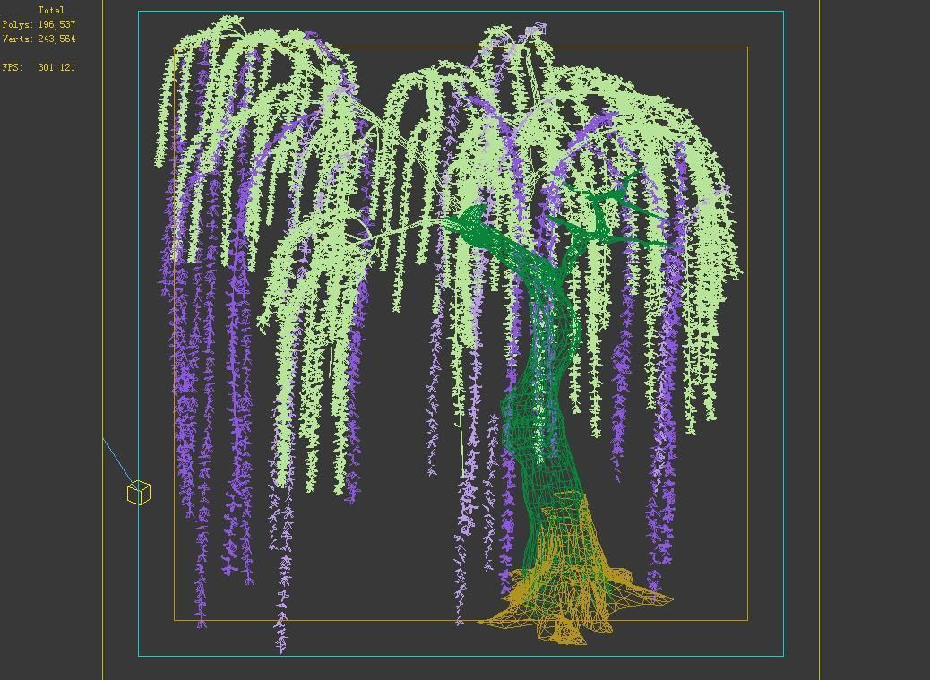 Willow-Plant 16 3D model_4