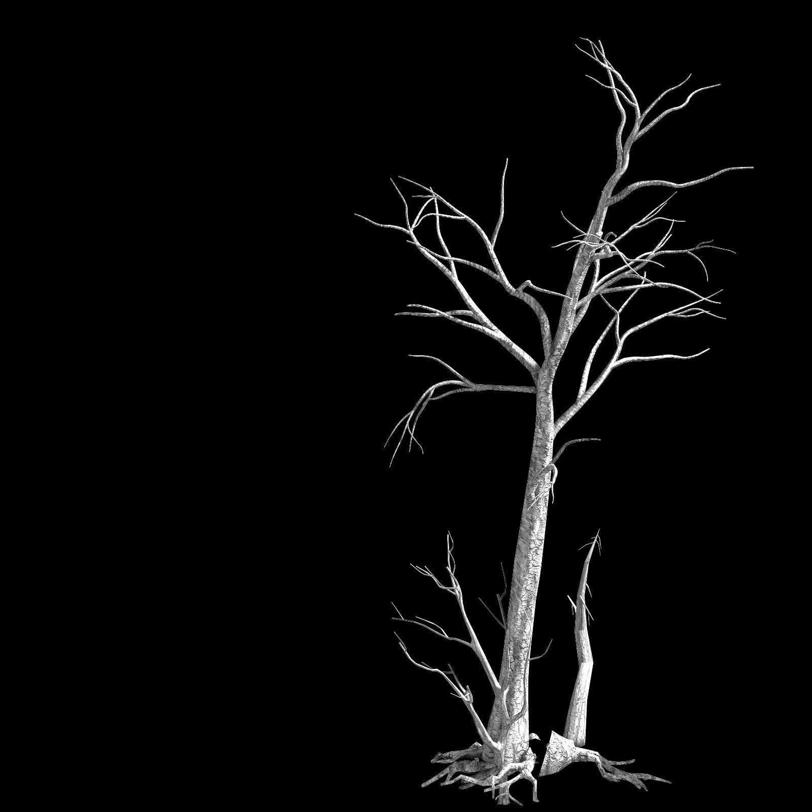 Roadside-Dead Tree 01 3D model_2
