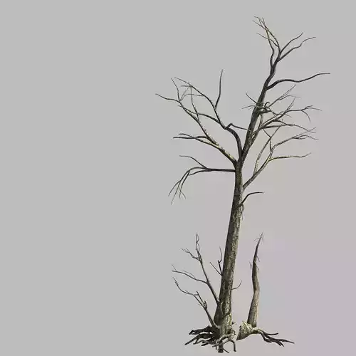 Roadside-Dead Tree 01