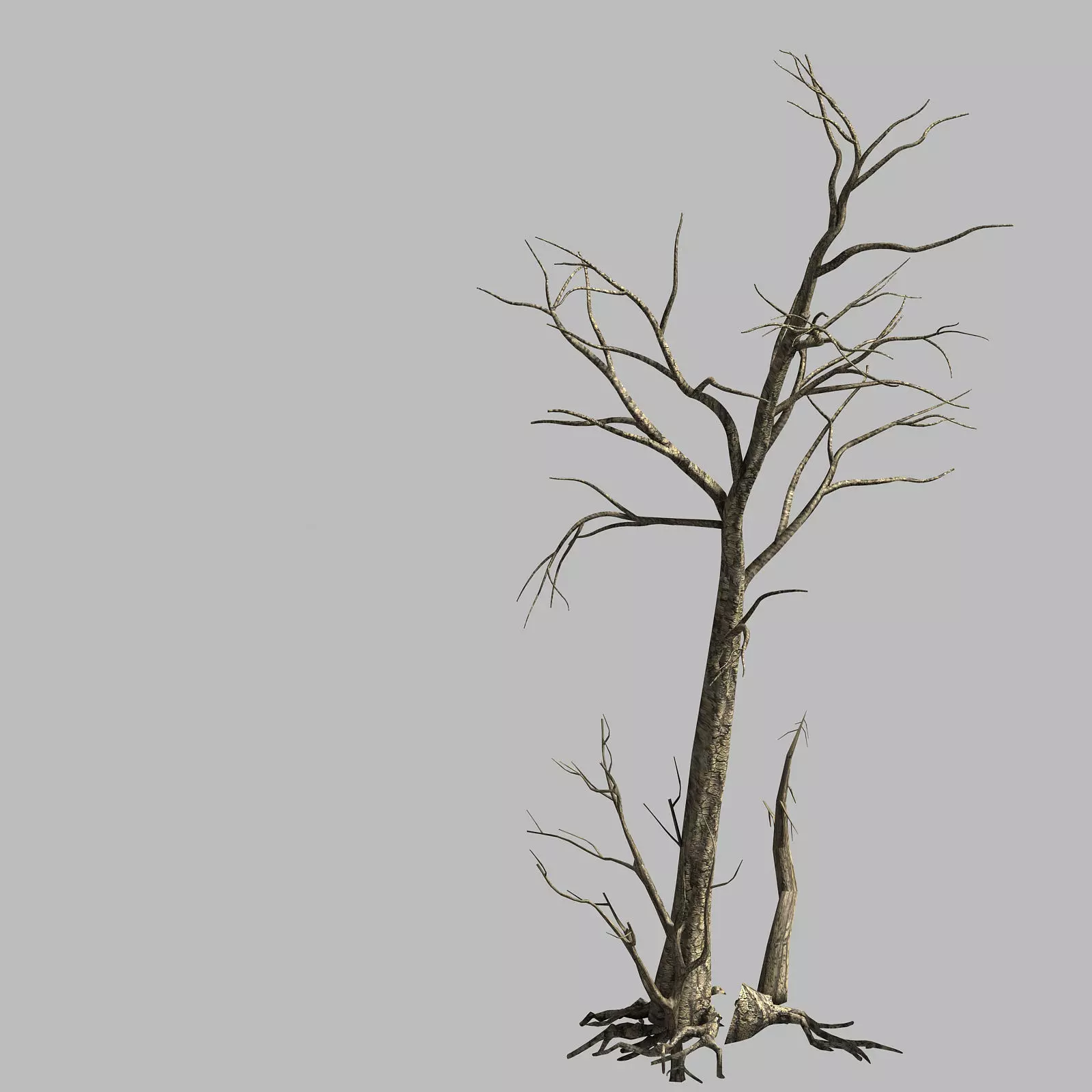 Roadside-Dead Tree 01 3D model_0