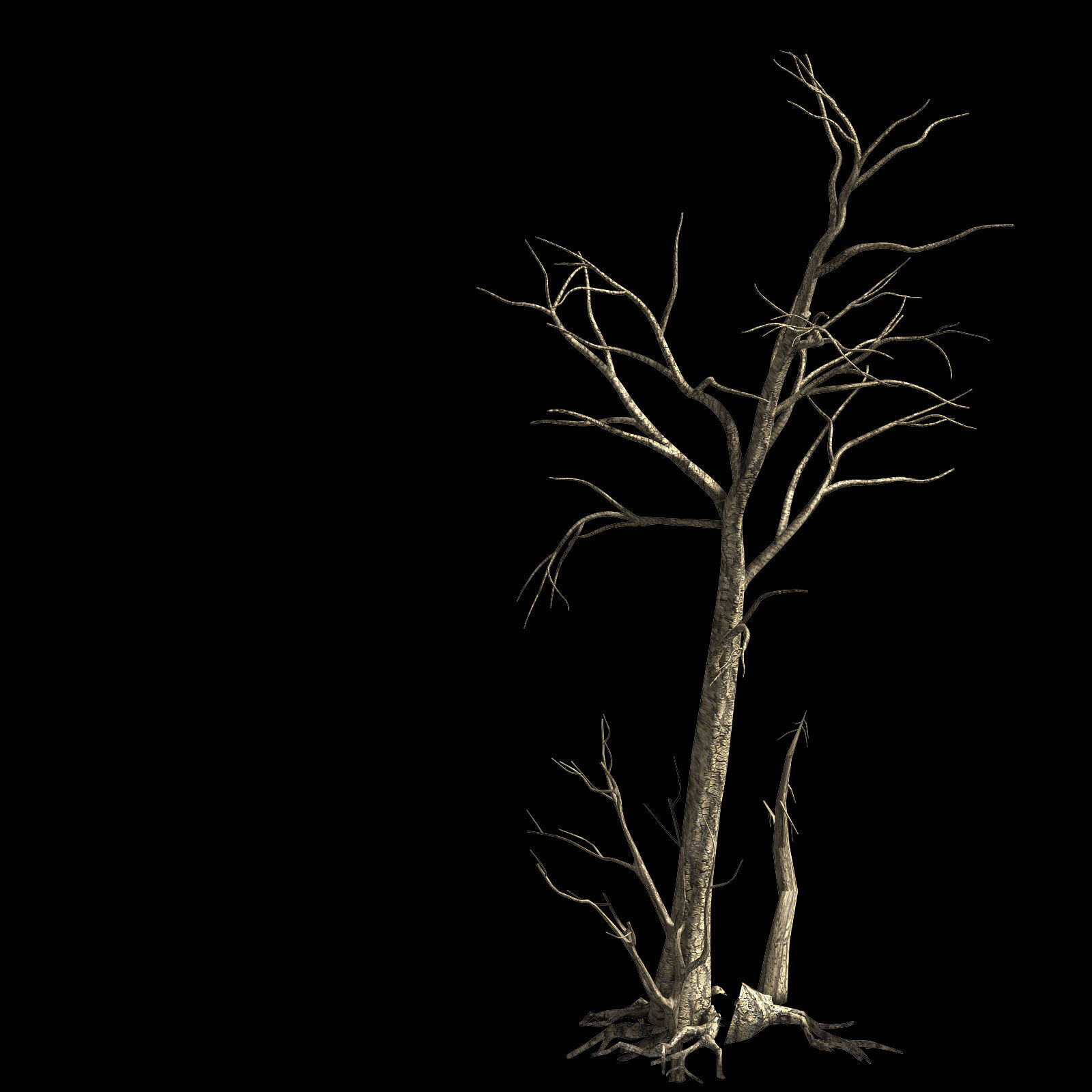 Roadside-Dead Tree 01 3D model_1