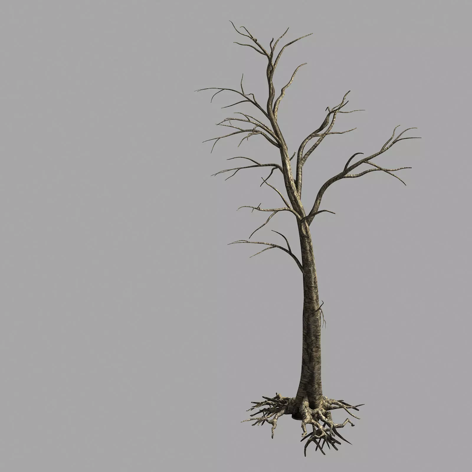 Roadside-Dead Tree 02 3D model