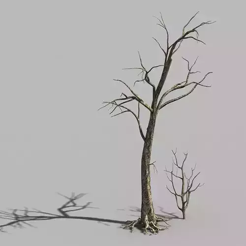Roadside-Dead Tree 03
