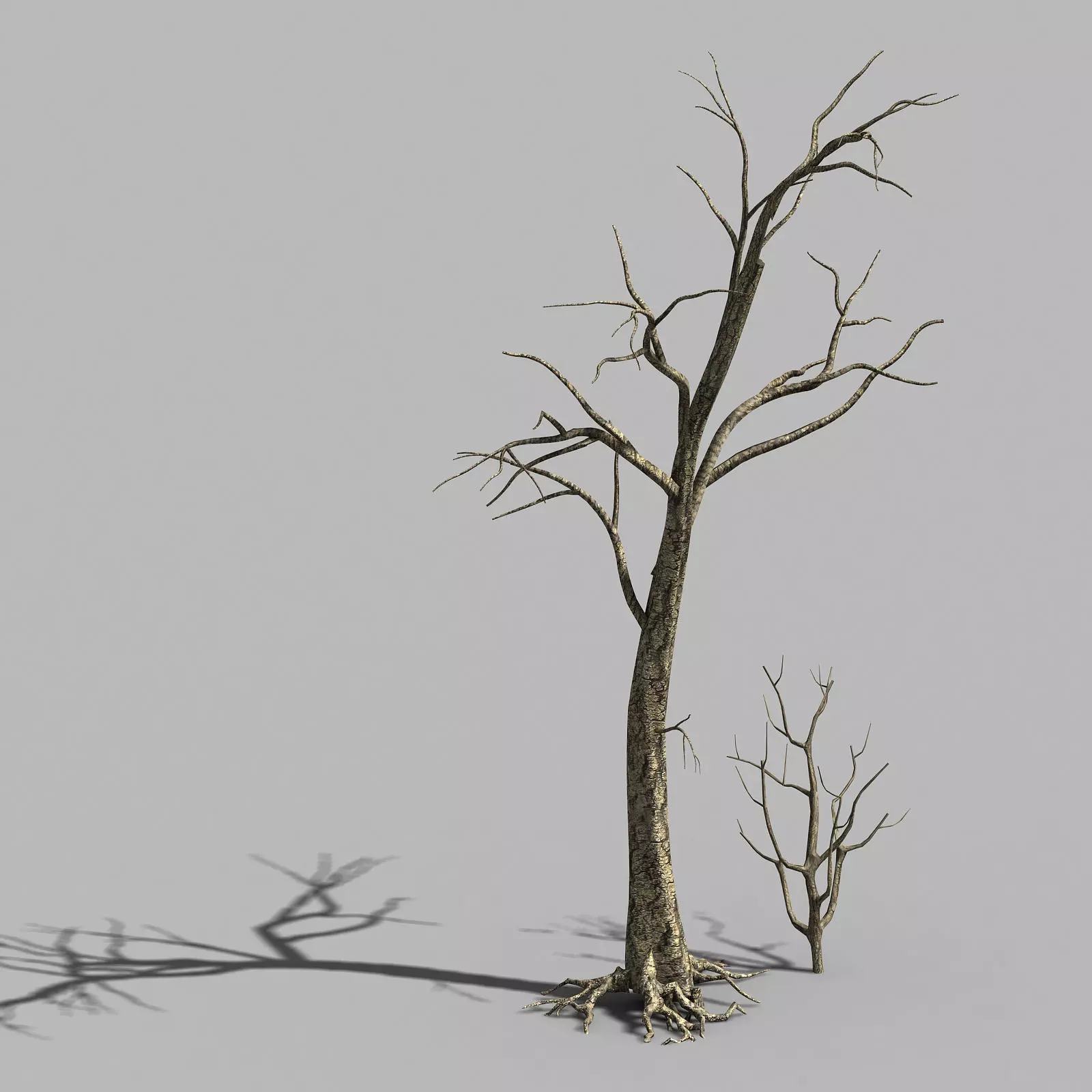 Roadside-Dead Tree 03 3D model