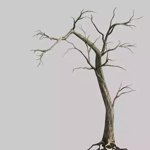 Roadside-Dead Tree 04