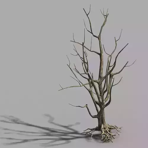 Roadside-Dead Tree 08 3D model