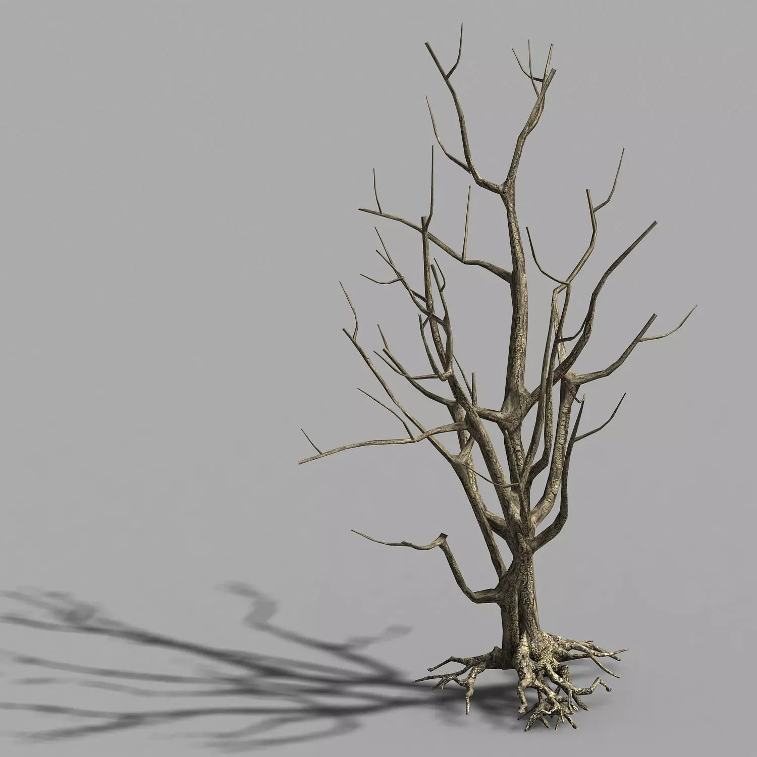 Roadside-Dead Tree 08 3D model_0