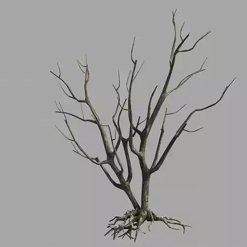 Roadside-Dead Tree 09