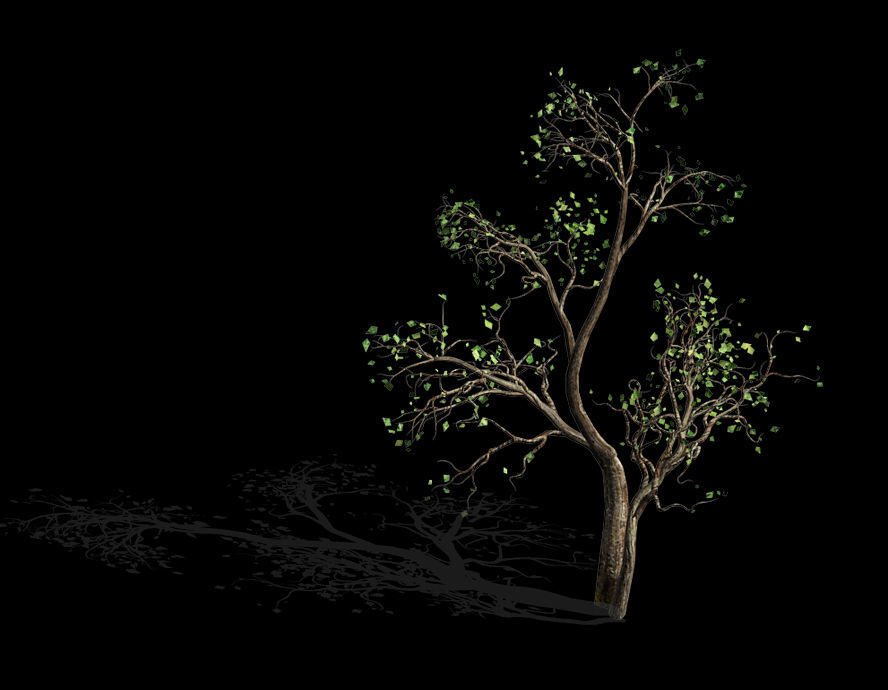 Green Plants-Landscape-Small Tree 52 3D model_1