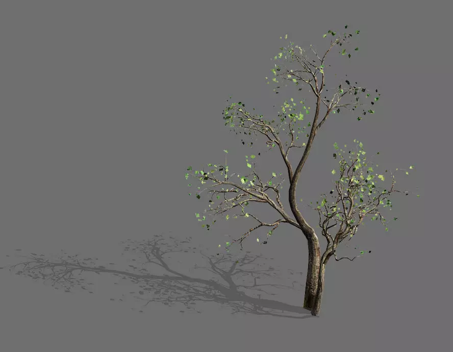 Green Plants-Landscape-Small Tree 52 3D model_0
