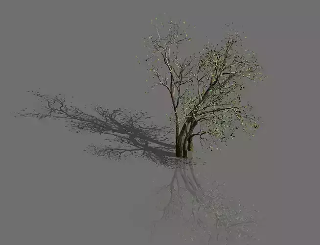 Green Plants-Landscape-Small Tree 53