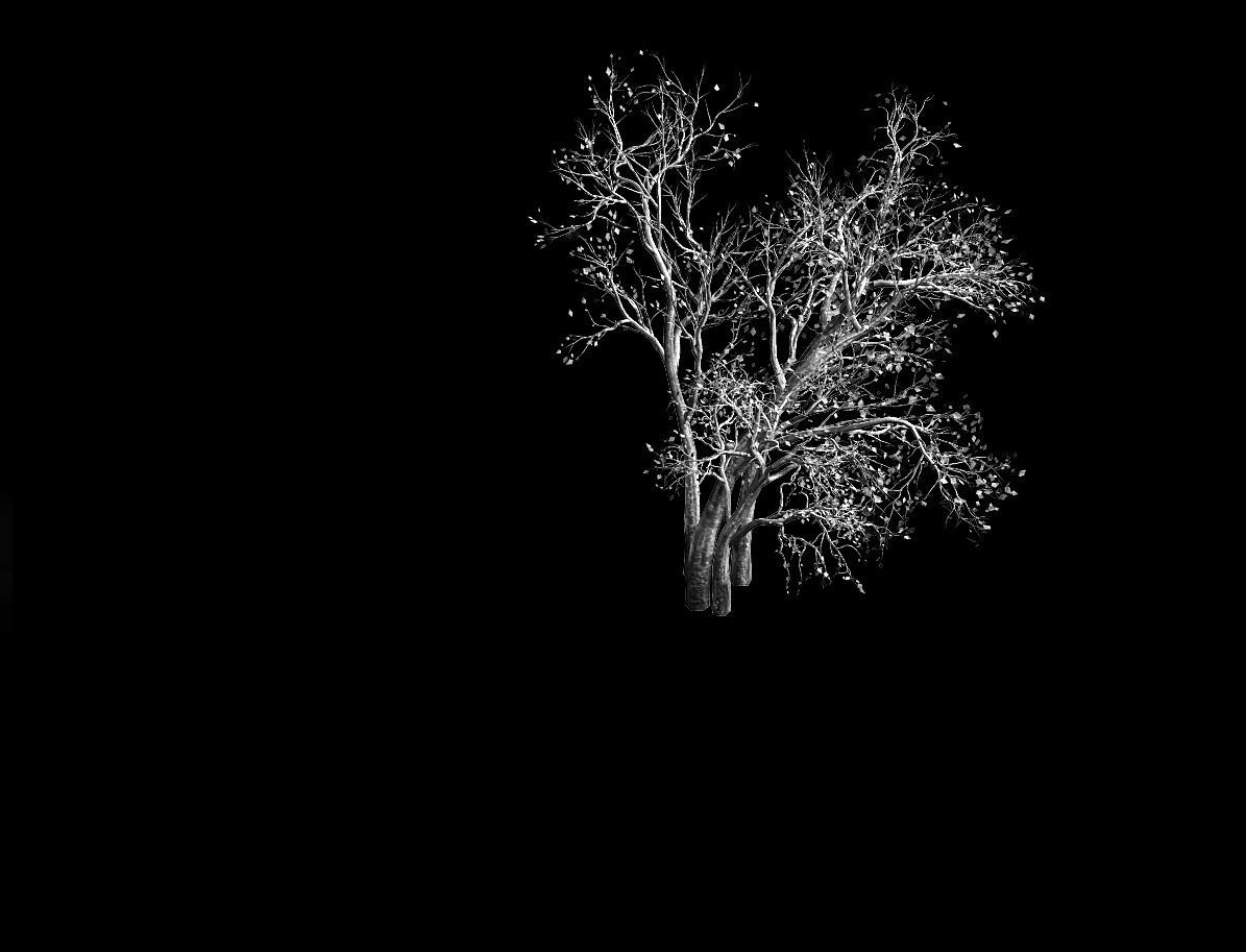 Green Plants-Landscape-Small Tree 53 3D model_2