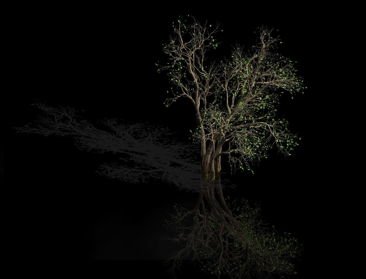 Green Plants-Landscape-Small Tree 53 3D model_1