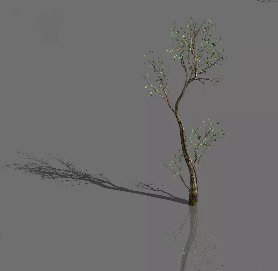 Green Plants-Landscape-Small Tree 54 3D model_0