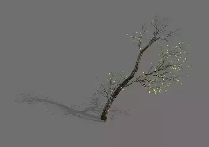 Green Plants-Landscape-Small Tree 56