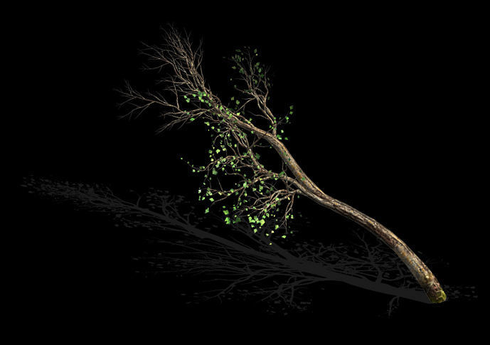 Green Plants-Landscape-Small Tree 57 3D model_1