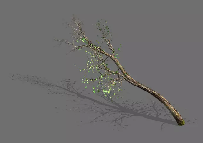 Green Plants-Landscape-Small Tree 57 3D model_0