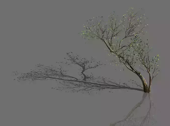 Green Plants-Landscape-Small Tree 58