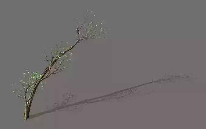 Green Plants-Landscape-Small Tree 59