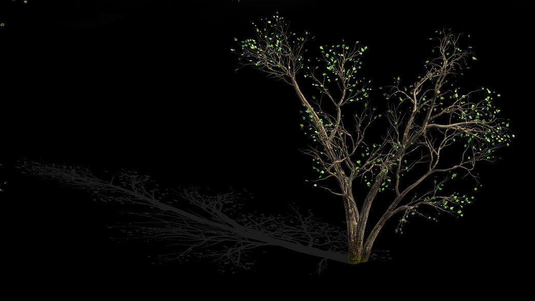 Green Plants-Landscape-Small Tree 60 3D model_1