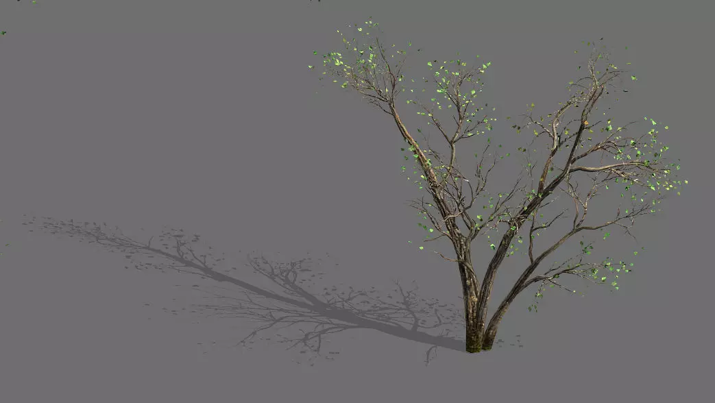 Green Plants-Landscape-Small Tree 60 3D model_0